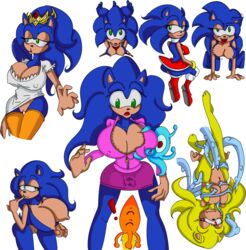 amy rose from sega by cuisine