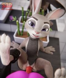 absurd_res anthro bathroom disney duo ears_down female genitals hi_res holding_leg judy_hopps lagomorph leporid looking_at_viewer male male/female mammal paws penetration penis pivoted_ears pussy rabbit shachath3d vaginal_penetration vaginal_penetration zootopia