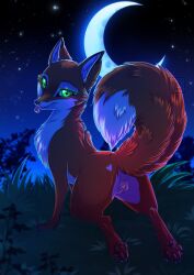 2025 4_toes anus ass canid canine claws countershade_fur countershade_torso countershading digital_media_(artwork) feet female feral fox fur genitals green_eyes hi_res inner_ear_fluff looking_at_viewer looking_back looking_back_at_viewer mammal moon night orange_body orange_fur orange_tail outside pawpads paws pussy quadruped rear_view rukifox sky smile solo standing star tail teeth toe_claws toes tongue tuft