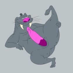 1:1 absurd_res anthro anus ass big_nose bob-jiggles erection fat_folds feet genitals grey_background grey_body half-closed_eyes hi_res looking_up lying male mammal marine markings narrowed_eyes on_back overweight overweight_anthro overweight_male penis pink_nose pinniped pose presenting presenting_hindquarters raised_leg ratz rounded_ears simple_background slightly_chubby slightly_chubby_anthro slightly_chubby_male slit_penis smile solo spots spotted_body stretching tusks vibrissae vinnie_the_walrus walrus whiskers xilam
