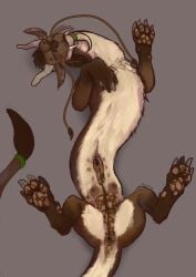 animal_genitalia anus ass balls black_claws brown_anus brown_balls brown_body brown_fur brown_pawpads claws dragon eastern_dragon feral flaccid fur furred_dragon furred_scalie genitals grey_claws hi_res horn male mocha_(teavern) mottled mottled_anus mottled_genitalia mottled_pawpads mythological_creature mythological_scalie mythology pawpads penis perineum scalie sheath teats teavern teeth whiskers white_body white_fur white_horn