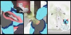 2:1 anal anal_sex anal_vore anthro balls blue_body blue_fur bluelada buttplug buttplug_in_ass buttplug_insertion canid domestic_cat duo english_text extreme_size_difference fart fart_cloud fart_fetish felid feline felis fur genitals green_fart_cloud hi_res male male/male mammal object_in_ass penetration perineum plug_(sex_toy) plug_insertion sex_toy sex_toy_in_ass sex_toy_insertion size_difference text vore