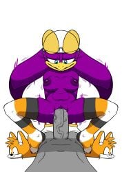 anonymous_artist anthro breasts clothing duo female footwear genitals hi_res leggings legwear male male/female nipples nude penetration penis pussy sega sex shoes slippers sonic_riders sonic_the_hedgehog_(series) swallow_(disambiguation) vaginal_penetration vaginal_penetration wave_the_swallow