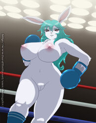 1girls 2013 big_breasts blue_boxing_gloves blue_gloves boxer boxing boxing_gloves boxing_ring breasts cyan_hair desingahv eyebrows_visible_through_hair female female_only fighter furry gloves hair_between_eyes lagomorph lapine light_blue_boxing_gloves light_blue_gloves long_hair looking_at_viewer looking_down low-angle_view naked navel nipples nude original original_character pussy rabbit red_eyes smile solo stockings