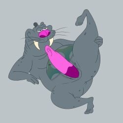 1:1 absurd_res anthro anus ass big_nose bob-jiggles erection fat_folds feet fungus genitals grey_background grey_body half-closed_eyes hi_res looking_up lying male mammal marine markings mushroom narrowed_eyes on_back overweight overweight_anthro overweight_male penis pink_nose pinniped pose presenting raised_leg ratz rounded_ears simple_background slightly_chubby slightly_chubby_anthro slightly_chubby_male slit_penis smile solo spots spotted_body stretching tusks vibrissae vinesauce vineshroom vinnie_the_walrus walrus whiskers xilam