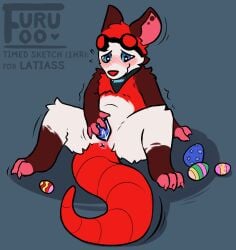 american_opossum andromorph anthro blush cuntboy digitigrade easter easter_egg egg egg_insertion eyewear furufoo genitals goggles holidays intersex kerchief mammal marsupial masturbation oviposition pussy solo trans_(lore) trans_man_(lore) virginia_opossum