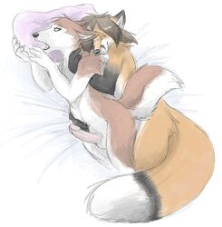 anthro balls bed canine erection fox fur furry gay hair husky keihound male moan no_humans penis pillow