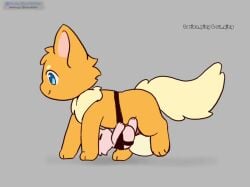1boy 2026 animal_ears animal_genitalia animal_penis animated arisel_uwu belly_riding blue_eyes canine closed_eyes closed_mouth cub cum cum_in_pussy cum_inside female female_cub feral fur furry genital_fluids genitals loop male no_sound older_feral orange_fur original pawpads paws penetration penis pink_fur simple_background size_difference straight tagme tail testicles text vaginal_penetration video