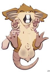 3_fingers 3_toes animal_genitalia animal_penis balls big_balls brown_body buckteeth duo feet feral fingers fizzpop fully_sheathed fur generation_1_pokemon genitals hi_res holding_another human lifted_up male mammal nintendo nude penis pokemon pokemon_(species) raticate sheath simple_background solo_focus tail teeth toes whiskers white_background