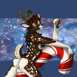 1boy anus ass balls candy_cane cervine deer male male_only mistletoe nude quix raised_tail solo