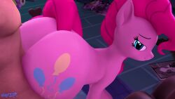 3d_animation assjob assjob_paizuri buttjob female_feral feral godoffury loop looping_animation male_human/female_feral my_little_pony pinkie_pie_(mlp) sound tagme video