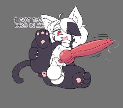 2026 absurd_res ahoge anthro anus ball_tuft balls big_penis black_hair black_markings black_scarf bodily_fluids chest_tuft claws clothing cute_fangs dialogue domestic_cat dripping english_text facial_markings fangs felid feline felis finger_claws genital_fluids genitals grey_background hair hair_over_eye head_markings hi_res huge_penis inner_ear_fluff jratking knot knotted_penis looking_at_viewer male mammal markings open_mouth pattern_clothing pattern_scarf pawpads penis pink_anus pink_pawpads pointy_ears precum precum_drip presenting presenting_anus red_eyes red_penis scarf simple_background solo striped_clothing striped_scarf stripes tail teeth text thick_thighs throbbing throbbing_penis tuft umbra_(defunctumbra) white_balls white_hair white_scarf