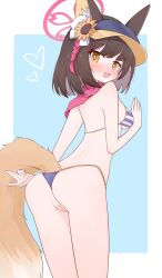 absurdres animal_ear_fluff animal_ears bikini blue_archive blue_background breasts brown_eyes brown_hair commentary_request female female_only flower fox_ears fox_girl fox_tail from_behind gu_meng_yin halo heart highres izuna_(blue_archive) izuna_(swimsuit)_(blue_archive) looking_at_viewer medium_breasts official_alternate_costume pussy red_halo red_scarf scarf short_hair solo solo_female striped_bikini striped_clothes sunflower swimsuit tail two-tone_background uncensored visor_cap white_background