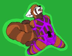 bondage bound firefox furry gay male male_only no_humans penis red_panda szhival