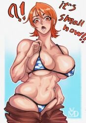 areola_slip bikini female female_only huge_breasts large_breasts makdraw25 nami nami_(classic) nami_(one_piece) one_piece orange_hair tagme