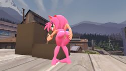 amy_rose cevon_(artist) female knees_together_feet_apart looking_at_viewer naked presenting_pussy solo sonic_(series) sonic_the_hedgehog_(series) spreading_ass