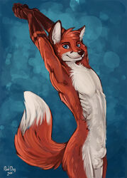 anthro blue_eyes canine fox fur furry male male_only no_humans red_dog solo