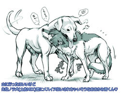 ame canine canine_penis cum erection feral fur interspecies male nude penis saliva tongue wolf wolf_children