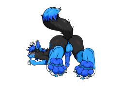 absurd_res anthro ass_up canid canine canis feet foot_focus hi_res male mammal nova_(blazingnovawolf) solo wolf zal_el