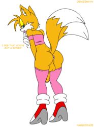 feminine tails from sega by denizen1414