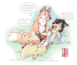 2013 ame anthro canine canine_penis cum erection fennec_(artist) feral fox fur furry gay handjob interspecies knot male no_humans nude orgasm pawjob penis wolf wolf_children