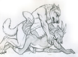 2013 anal anal_sex canine canine_penis closed_eyes doggy_style from_behind furry gay horn knot lying male no_humans nude on_front penetration penis rukis sex sketch wolf