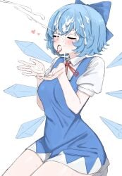 cirno from touhou by kumiyabe