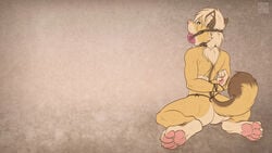 16:9 2013 anthro arms_behind_back ass ball_gag blue_eyes bondage bound canine collar drooling ear_piercing female fur furry gag gagged keovi kio_(keovi) kneeling looking_at_viewer looking_back nude piercing pink_ball_gag rope saliva solo wallpaper yellow_fur