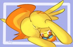 2013 anus ass cutie_mark equine female friendship_is_magic my_little_pony spitfire_(mlp) tagme whoop wonderbolts_(mlp)