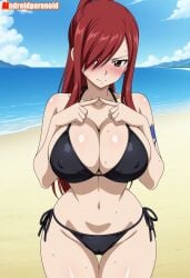 erza scarlet from fairy tail by aindroidparanoid