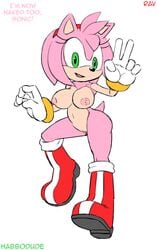 amy_rose anthro areola big_breasts breasts english_text erect_nipples female furry green_eyes habbodude hair hedgehog looking_at_viewer nipples nude pink_hair pussy ravnic sega smile sonic_(series) text