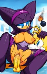 rouge the bat from sega by marthedog