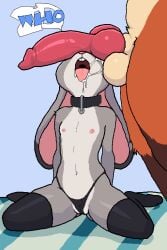 2d 2d_(artwork) 2d_animation 2d_artwork animated anthro anthro_on_anthro arms_down balls big_balls black_choker black_legwear black_panties breathing bunny_ears bunny_girl bunnygirl collar disney drooling drooling_tongue female female_focus flat_chest flat_chested fox fox_boy fox_male fur furry furry_female furry_only girl grey_skin hard_nipples judy_hopps kneehighs kneeling kneeling_oral_position kneesocks knot knotted_cock knotted_penis leather_choker legs_spread legwear male_dominating_female male_domination mouth naked naked_female nick_wilde nude nude_female on_knees open_mouth orange_fur panties panting petite petite_body petite_breasts petite_female pixel_animation pixel_art pulsating rabbit rabbit_ears rabbit_girl rabbit_nose rabbit_teeth red_penis saliva saliva_string saliva_trail signature simple_background sitting sitting_on_knees slim_waist slutty_female small_breasts small_nipples small_tongue socks standing submissive submissive_female tongue tongue_out tongue_out_open_mouth topless veiny veiny_penis who2d zootopia