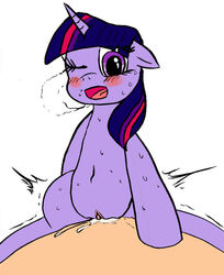 cum equine friendship_is_magic horse human my_little_pony pony punkydreamer sex straight_hair tagme twilight_sparkle_(mlp)