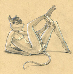 Anthro Rule 34 Image