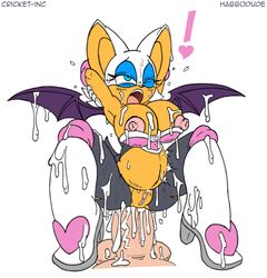 rouge the bat from sega by cricket-inc