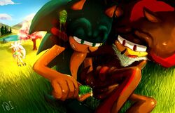 anal anal_sex black_fur blue_fur chest_tuft cum drooling field furry gay green_eyes hedgehog ice_pop lake male no_humans penetration penis red_eyes red_strips saliva sega shadow_the_hedgehog silver_the_hedgehog smile sonic_(series) sonic_the_hedgehog sweat tear tree white_fur yaoi yellow_eyes