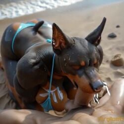 ai_generated all_fours animated anthro ass beach big_breasts big_butt bikini bodily_fluids breasts canid canine canis closed_eyes clothing cum cum_in_mouth cum_inside cum_on_face curvy_figure deep_throat dobermann domestic_dog ear_piercing facial_piercing fellatio female female_on_human furry genital_fluids genitals huge_breasts huge_butt human human_on_anthro humanoid_genitalia humanoid_penis interspecies male male/female male_on_anthro mammal mature_female narrowed_eyes nose_piercing oiled_body oral penile penis piercing pinscher seaside sex swimwear tagme video vlrgromns