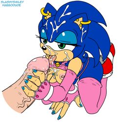 sonic the hedgehog from sega by habbodude