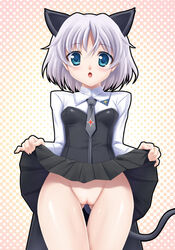 animal_ear blue_eyes blush clothing flat_chest fujirin no_panties sanya_v_litvyak skirt skirt_lift strike_witches tail