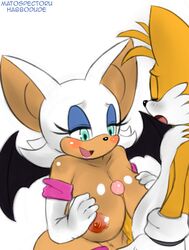 rouge the bat from sega by habbodude