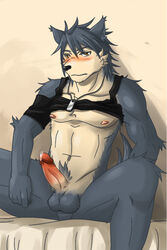 1boy anthro armband balls biceps blush canine clothing dripping erection fur furry grey_fur h155296 hair husky kouya_aotsuki male male_only morenatsu muscles nipples nude pecs penis precum pubes shirt shirt_lift solo yellow_eyes