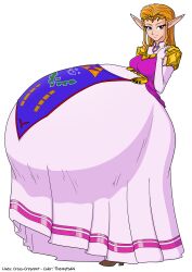 princess zelda from nintendo by thenypod4