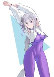 emilia (re:zero) from re:zero kara hajimeru isekai seikatsu