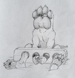 4_toes 5_fingers after_transformation anthro big_feet bondage bound claws collar cuff_(restraint) digit_ring digitigrade feet felid feline fingers foot_fetish foot_focus foot_head hi_res huge_feet jewelry lynx male mammal nude paw_creature paw_head pawpads paws plantigrade restraints ring salem_(hollowvoice) salem_(kreoche) simple_background soles solo stocks submissive thick_pawpads toe_claws toe_ring toes wrist_cuffs