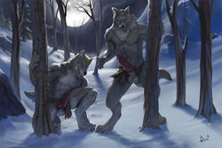 balls canine clothing color erection front_view full_moon fur furry grey_fur lion21 loincloth looking_at_viewer male male_only moon multiple_males night outdoors penis snow squatting standing topless tree werewolf wolf