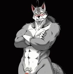 abs animated anthro biceps blush canine crossed_arms flaccid fur furry grey_fur male male_only morenatsu muscles no_humans nude pecs penis pubes solo standing ten_kodori unknown_artist wolf yellow_eyes