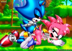 amy rose from sega by bbmbbf