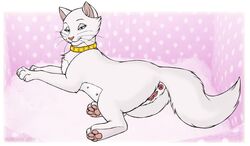 1girls anus disney duchess_(the_aristocats) feline female feral house_cat marjani milf nipples pawpads paws pussy solo the_aristocats