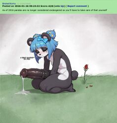 1girls Rule 34 Image
